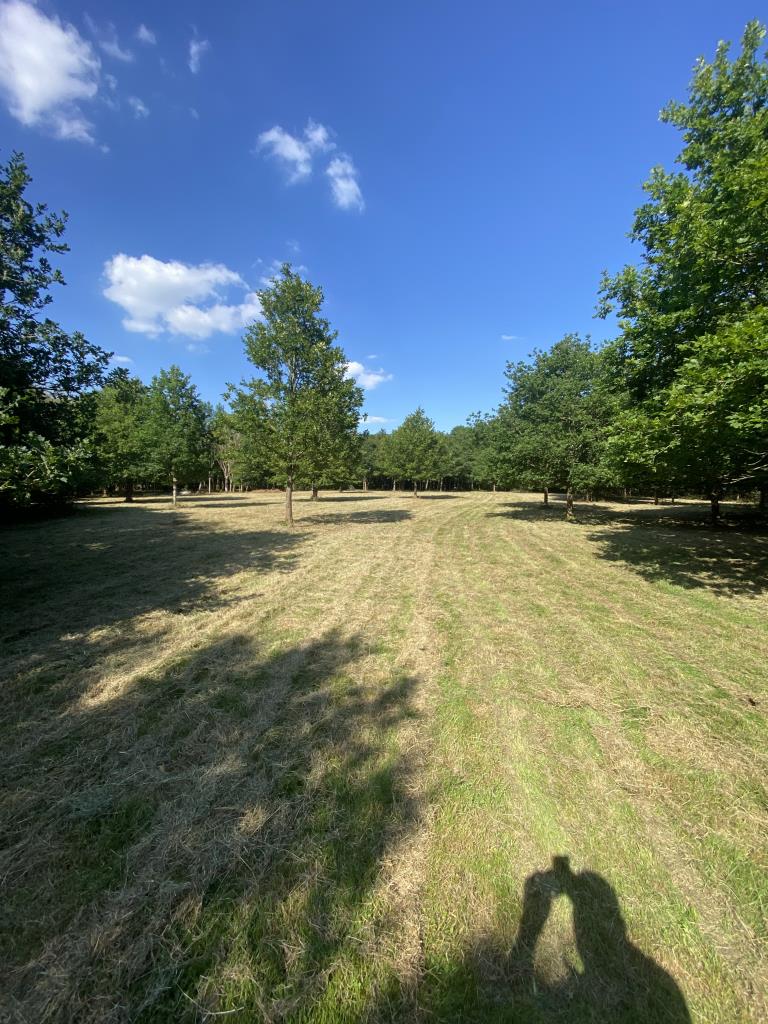 Lot: 89 - FREEHOLD LAND - Grassland
